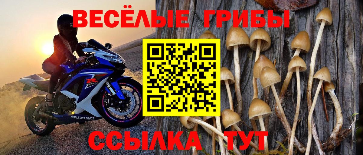 Псилоцибиновые грибы ЛСД Екатеринбург