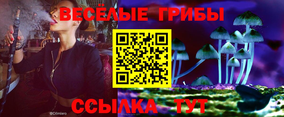 Екатеринбург  Галлюциногенные грибы MAGIC MUSHROOMS  Вход с VPN 